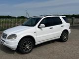 Mercedes-Benz ML 320 2001 года за 5 000 000 тг. в Петропавловск