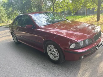 BMW 525 1997 года за 2 500 000 тг. в Алматы