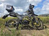 Fuego  Tekken 250 2025 года за 1 000 000 тг. в Усть-Каменогорск – фото 4