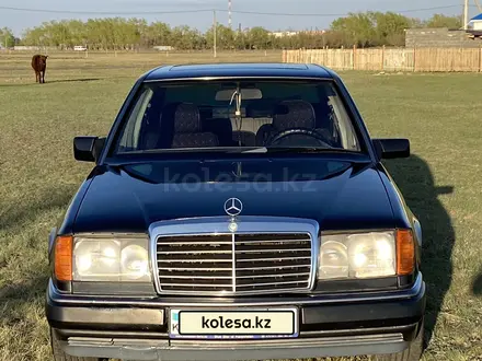 Mercedes-Benz E 230 1990 года за 2 200 000 тг. в Кокшетау – фото 27