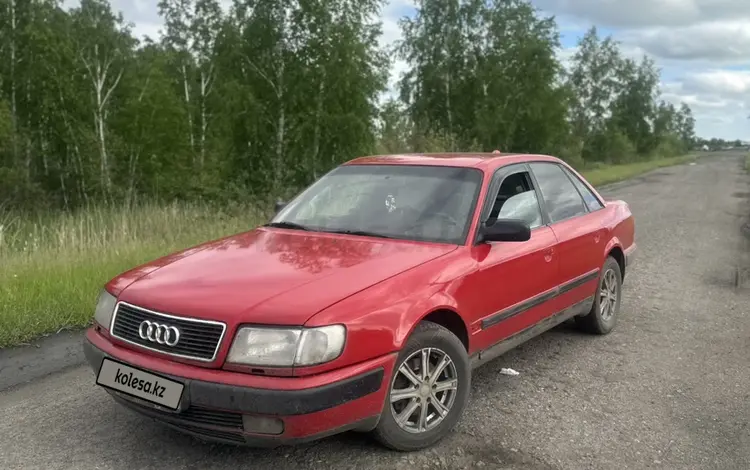 Audi 100 1994 годаүшін2 300 000 тг. в Петропавловск