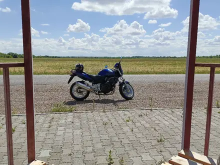 Honda  CBF 600 2006 года за 2 100 000 тг. в Караганда – фото 8