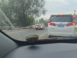 Ремонт лобовых автостекол. Сколы и трещины в Алматы