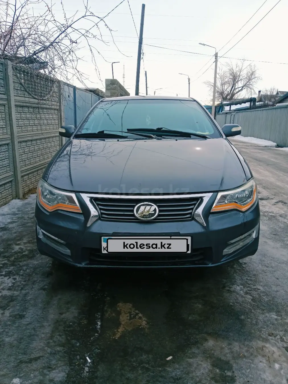 Lifan Solano, 2014
