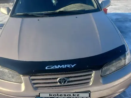 Toyota Camry 1998 года за 3 000 000 тг. в Шымкент