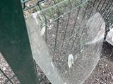 Стекло левое. Гольф 3 за 5 000 тг. в Караганда