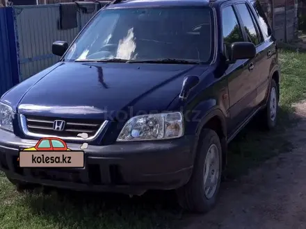 Honda CR-V 1996 года за 2 500 000 тг. в Жезкент – фото 10