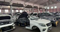 Ноускат Авкат бампера фары двери капоты крышки багажника за 125 000 тг. в Алматы – фото 4