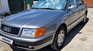 Audi 100 1992 года за 2 500 000 тг. в Шиели