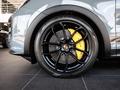 Porsche Cayenne Coupe Turbo GT 2025 года за 183 300 000 тг. в Алматы – фото 8