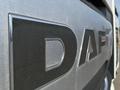 DAF  XF 480 FT 2020 годаүшін27 500 000 тг. в Уральск – фото 18