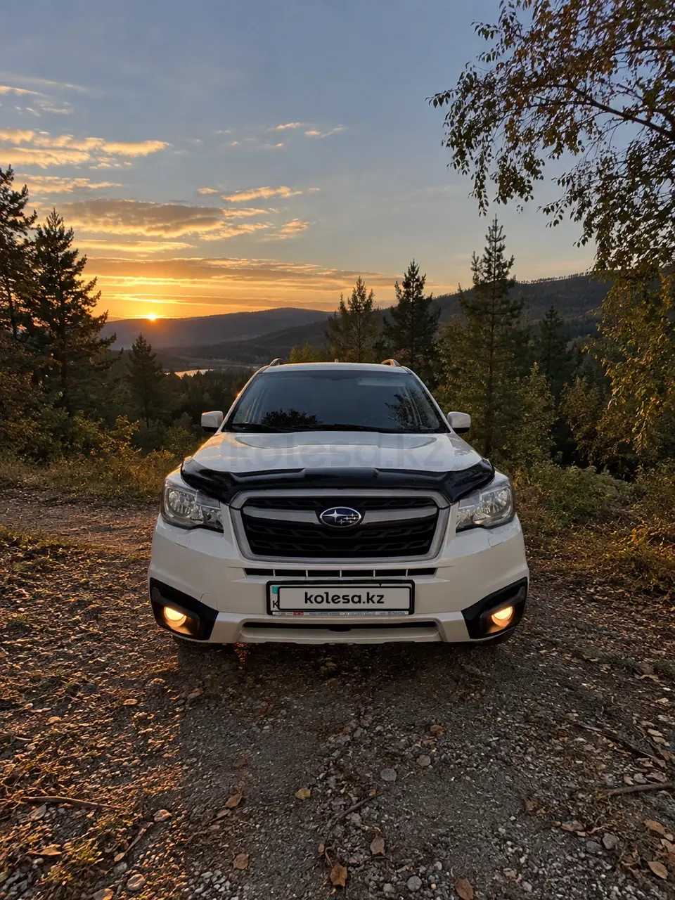 Subaru Forester, 2018
