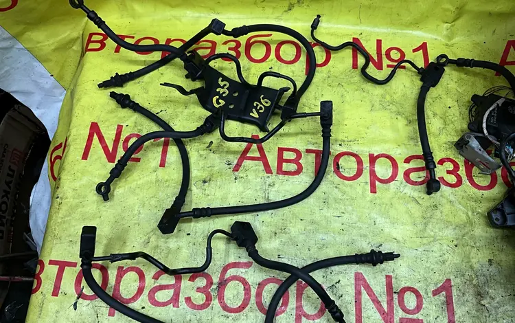 Передний тормозной шланг на Инфинити G35V36 за 20 000 тг. в Алматы