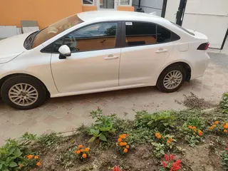 Toyota Corolla, 2023