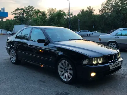 BMW 525 2000 года за 5 000 000 тг. в Шымкент