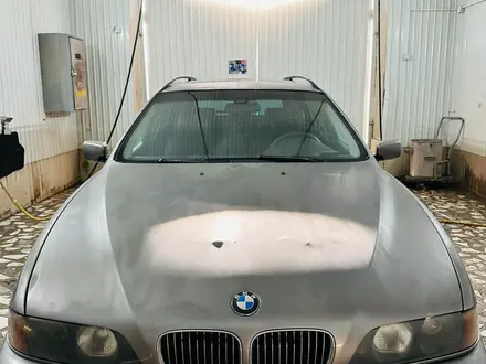 BMW 525 1997 года за 3 550 000 тг. в Тараз – фото 11