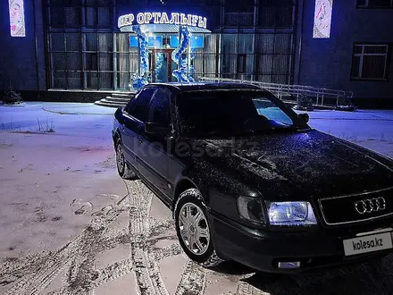 Audi 100 1993 года за 2 350 000 тг. в Кокшетау – фото 13