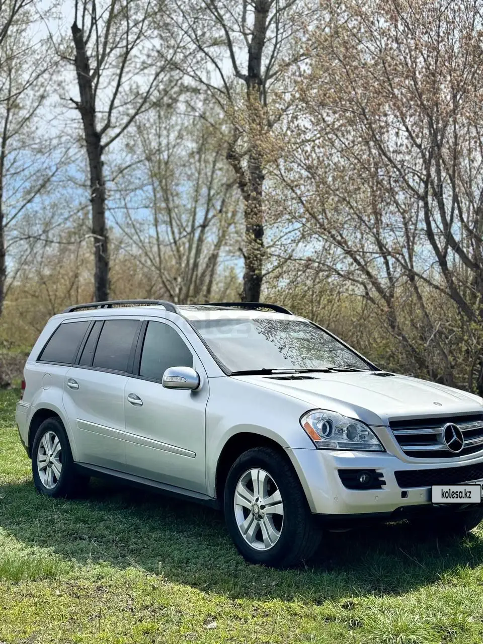 Mercedes-Benz GL-Class, 2008