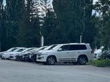 Stellar Auto в Костанай – фото 3