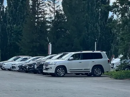 Stellar Auto в Костанай – фото 3