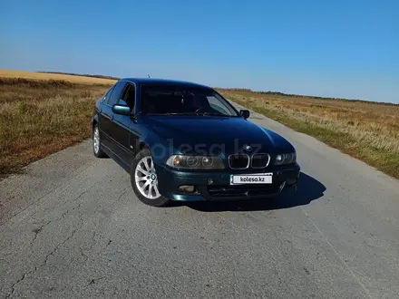 BMW 523 1996 года за 2 400 000 тг. в Затобольск – фото 9