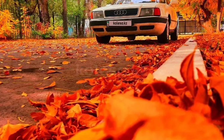 Audi 80 1991 года за 1 200 000 тг. в Тараз