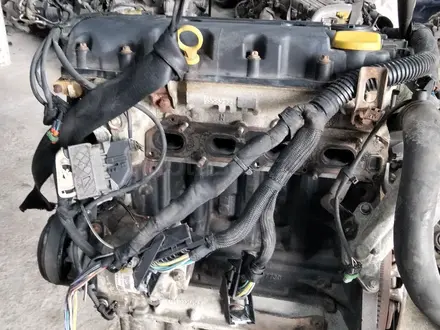 Двигатель B14XER за 350 000 тг. в Алматы