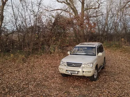 Lexus LX 470 2005 года за 11 000 000 тг. в Уральск – фото 2