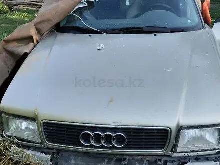 Audi 80 1992 года за 600 000 тг. в Алматы