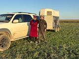 Toyota Sequoia 2002 годаүшін8 100 000 тг. в Атырау – фото 5