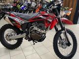 Regulmoto  Sport-003 PR 300 (5 gear) 2026 годаfor394 256 тг. в Алматы – фото 2