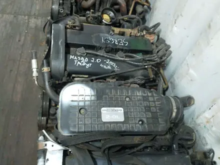 Двигатель Ford Focusүшін280 000 тг. в Алматы – фото 4