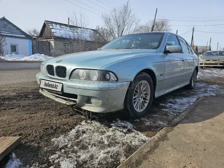 BMW 525 2001 года за 2 600 000 тг. в Уральск – фото 5