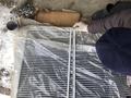 Интеркулер Shacman HOWO новый DZ9112530277 за 60 000 тг. в Кульсары – фото 7