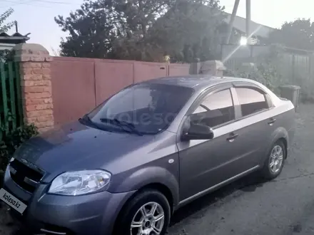 Chevrolet Aveo 2011 года за 1 600 000 тг. в Жезказган – фото 8