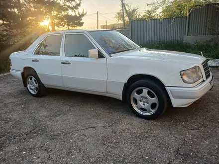 Mercedes-Benz E 200 1994 года за 4 200 000 тг. в Кокшетау – фото 37