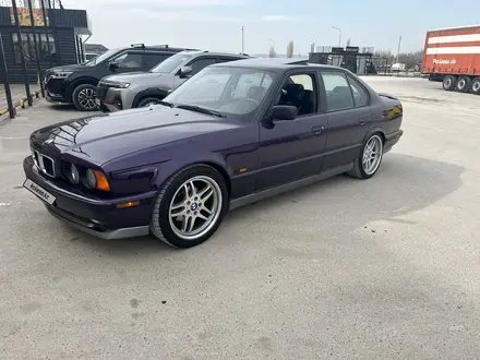 BMW 525 1993 года за 3 500 000 тг. в Тараз – фото 7