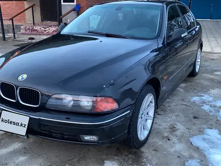 BMW 525 2002 года за 2 600 000 тг. в Тараз – фото 2