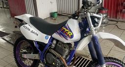 Yamaha  TTR-250 open enduro 2001 годаүшін1 600 000 тг. в Павлодар – фото 2