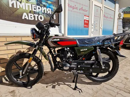  мотоцикл TEKKEN 300 R LINE PRO 2024 года за 1 030 000 тг. в Талдыкорган – фото 58