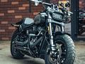 Harley-Davidson  Fat Bob 2024 года за 15 000 000 тг. в Алматы – фото 2
