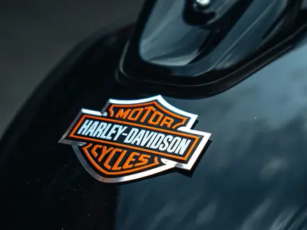 Harley-Davidson  Fat Bob 2024 года за 15 000 000 тг. в Алматы – фото 17