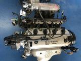 Мотор honda (Хонда) ДВС АКП МКП engine за 288 000 тг. в Алматы