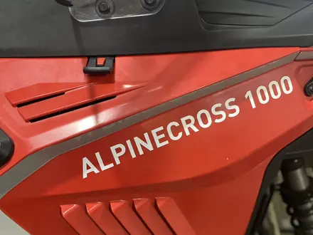 AODES  Alpinecross 1000 2024 года за 6 970 000 тг. в Усть-Каменогорск – фото 8