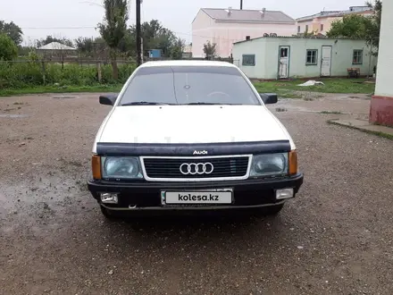 Audi 100 1990 года за 1 100 000 тг. в Саудакент