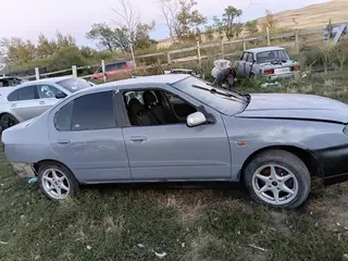 Nissan Primera
