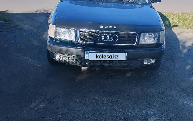 Audi 100 1993 годаүшін2 800 000 тг. в Федоровка (Федоровский р-н)