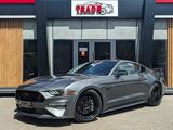Ford Mustang 2022 года за 19 495 000 тг. в Караганда