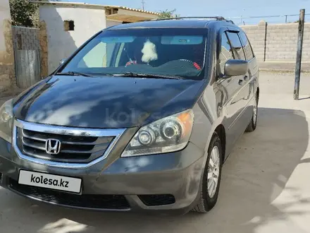 Honda Odyssey 2008 года за 7 600 000 тг. в Абай (Келесский р-н)