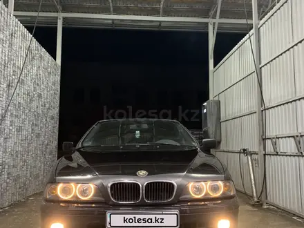 BMW 530 2002 годаүшін4 300 000 тг. в Шымкент – фото 31